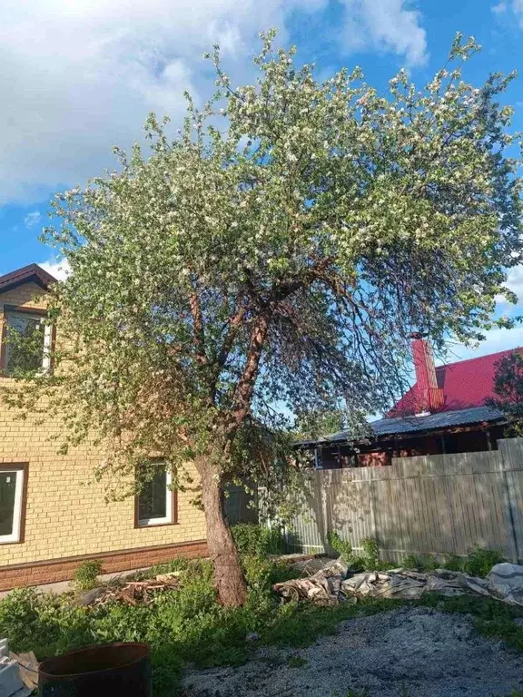 Дом в Самарская область, Красноярский район, Новосемейкино городское ... - Фото 1