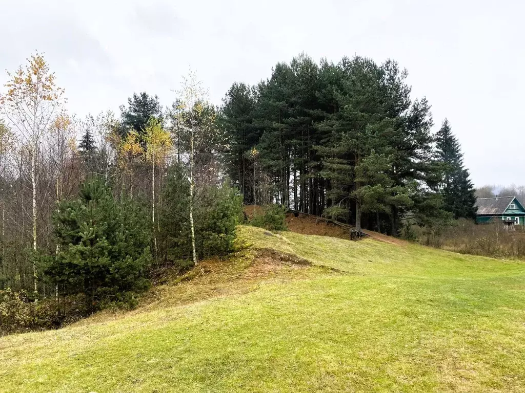 Дом в Новгородская область, Окуловка 2-я Комсомольская ул. (96 м) - Фото 1