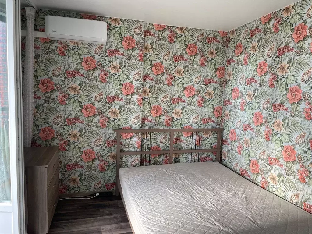 Студия Санкт-Петербург Комендантский просп., 55к1 (24.0 м) - Фото 1