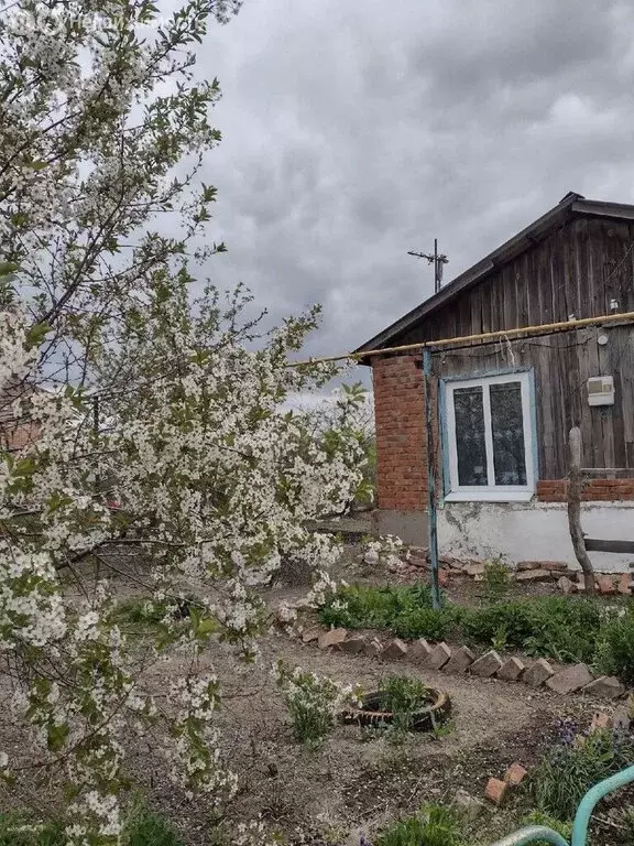 Дом в Быково-Отрогское муниципальное образование, посёлок Береговой ... - Фото 2
