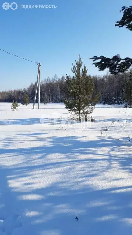 Участок в Уватский район, село Красный Яр (12 м) - Фото 1