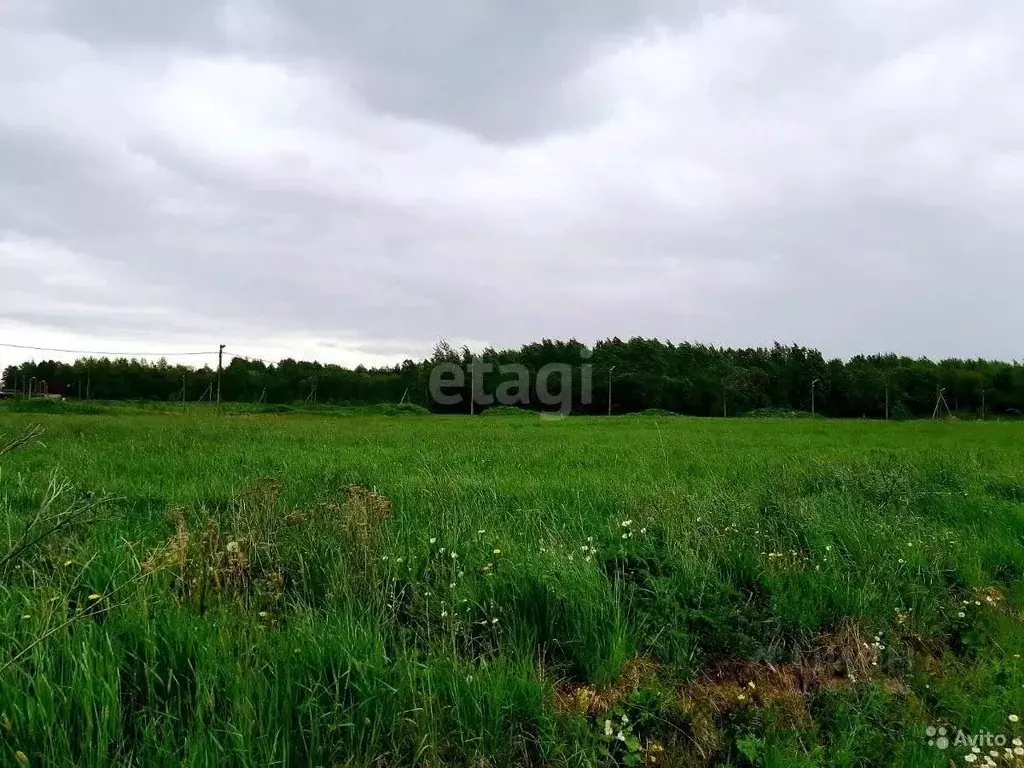 Участок в Белгородская область, Новооскольский городской округ, с. ... - Фото 1