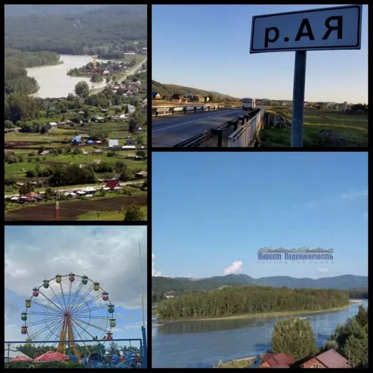 Участок в Алтайский край, Алтайский район, Айский сельсовет, с. Ая ул. ... - Фото 1