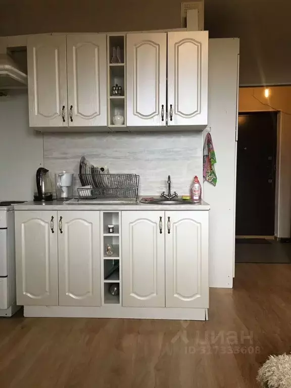 Студия Ленинградская область, Мурино Всеволожский район, просп. ... - Фото 0