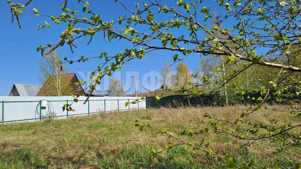 Участок в Новосибирская область, Новосибирский район, с. Боровое ул. ... - Фото 1