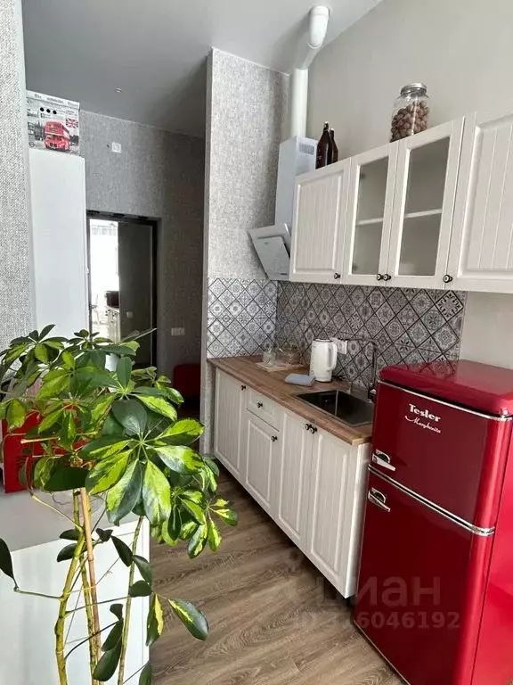Студия Краснодарский край, Сочи городской округ, с. Краевско-Армянское ... - Фото 0