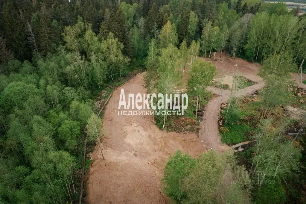 Участок в Ленинградская область, Приозерский район, Ларионовское ... - Фото 1