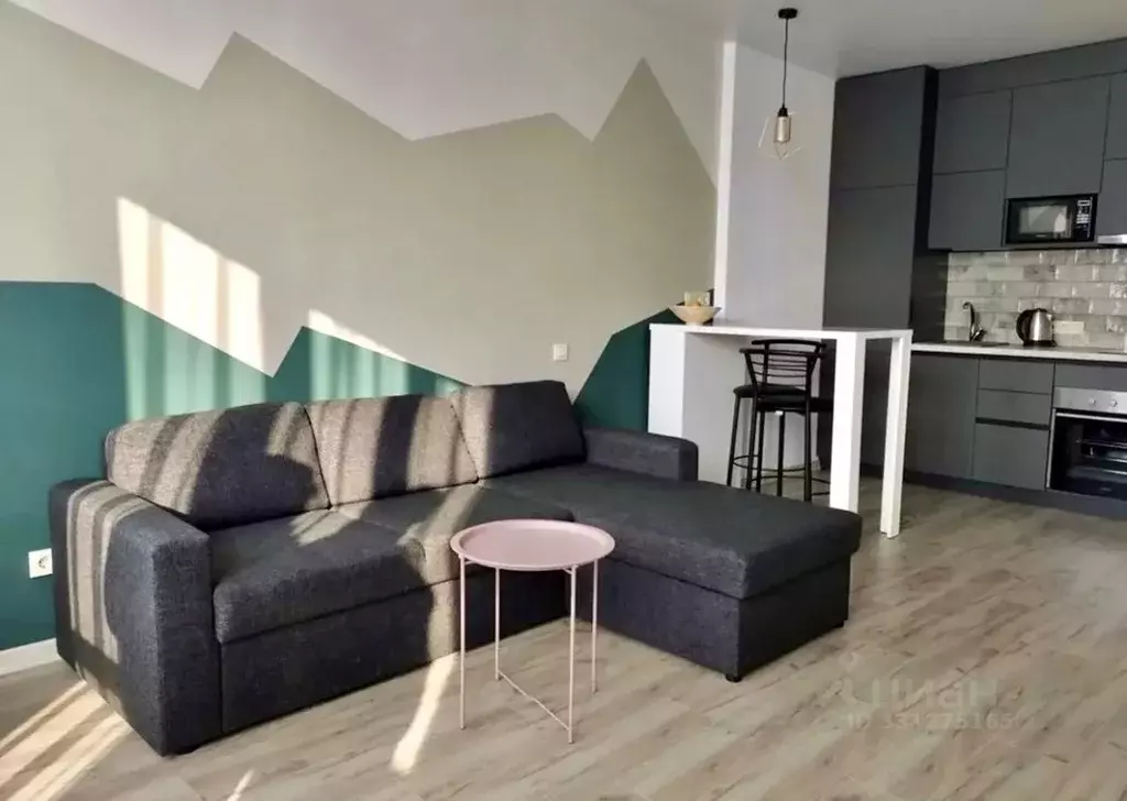 Студия Алтайский край, Барнаул ул. Малахова, 61 (22.6 м) - Фото 2