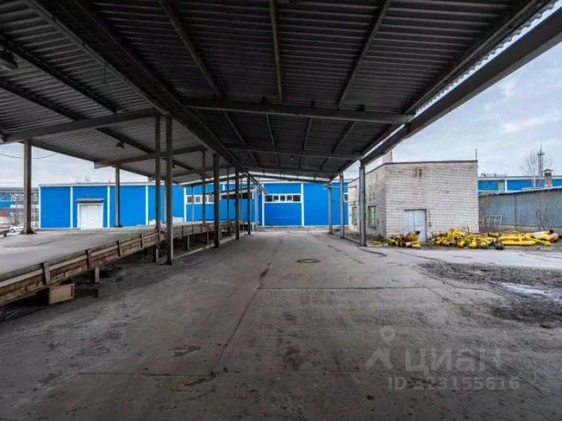 Производственное помещение в Санкт-Петербург Мебельная ул., 5 (3967 м) - Фото 1