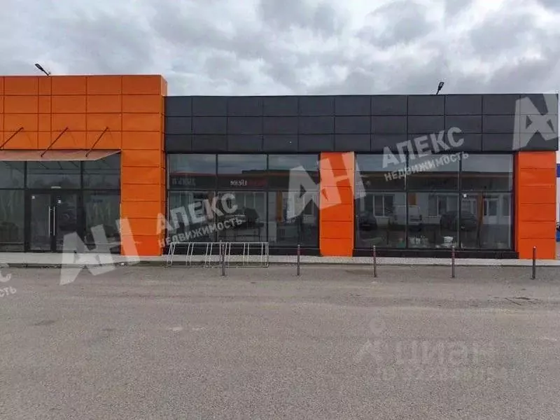 Торговая площадь в Московская область, Домодедово городской округ, д. ... - Фото 2