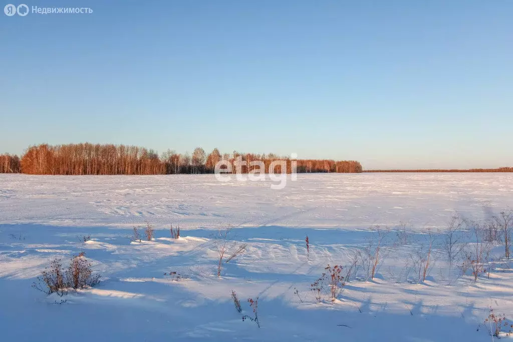 Участок в Тюменский район, село Горьковка (13.4 м) - Фото 1