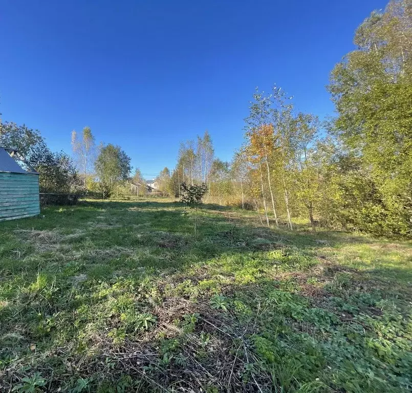 Участок в Московская область, Дмитровский муниципальный округ, д. ... - Фото 0