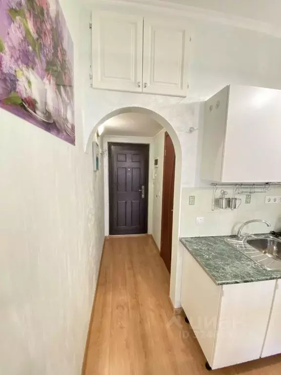 Студия Московская область, Пушкинский городской округ, с. Тарасовка ... - Фото 1