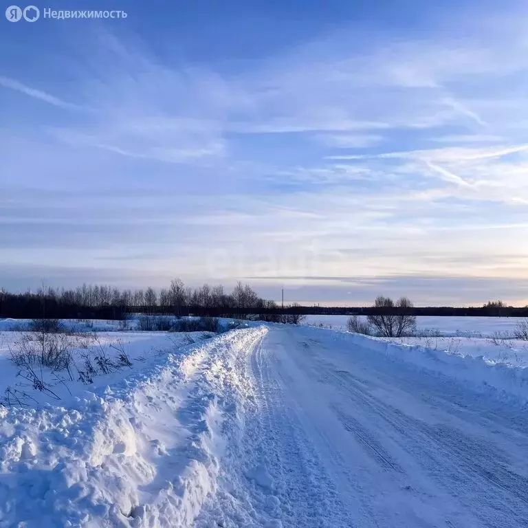 Участок в Ярославский муниципальный округ, деревня Сабельницы (7 м) - Фото 2