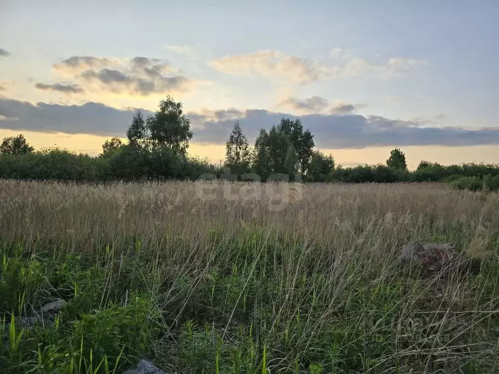 Участок в Тюменская область, Тюмень Садовое товарищество Липовый ... - Фото 1