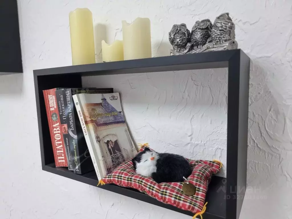 Помещение свободного назначения в Ставропольский край, Ставрополь ул. ... - Фото 2