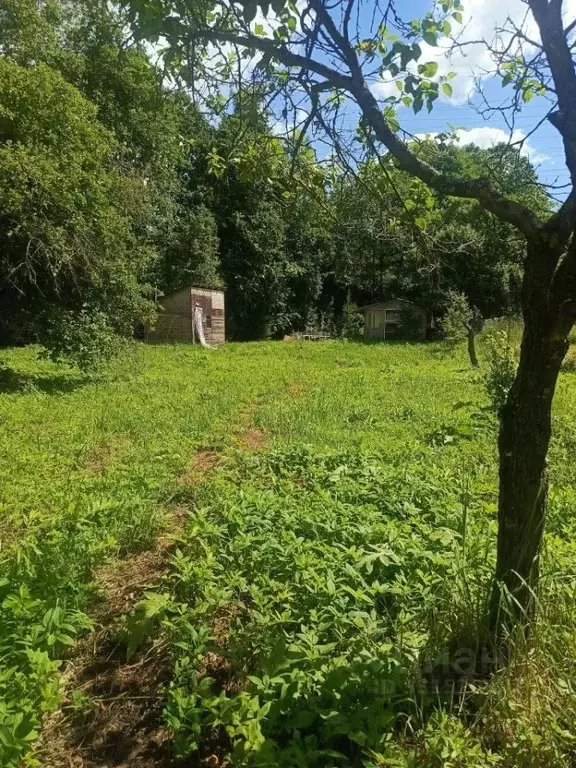 Участок в Тульская область, Тула городской округ, с. Хрущево ул. ... - Фото 2