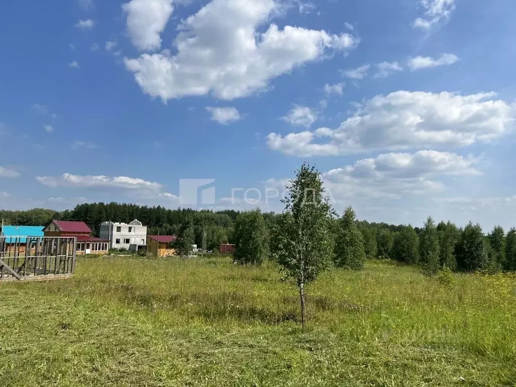 Участок в Новосибирская область, Новосибирский район, Станционный ... - Фото 1
