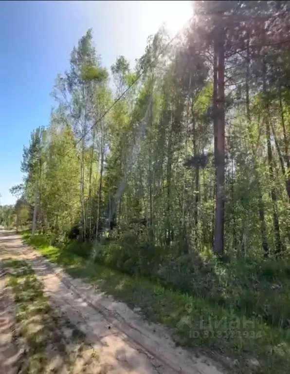 Участок в Калужская область, Жуковский район, Верховье с/пос, Дубрава ... - Фото 0