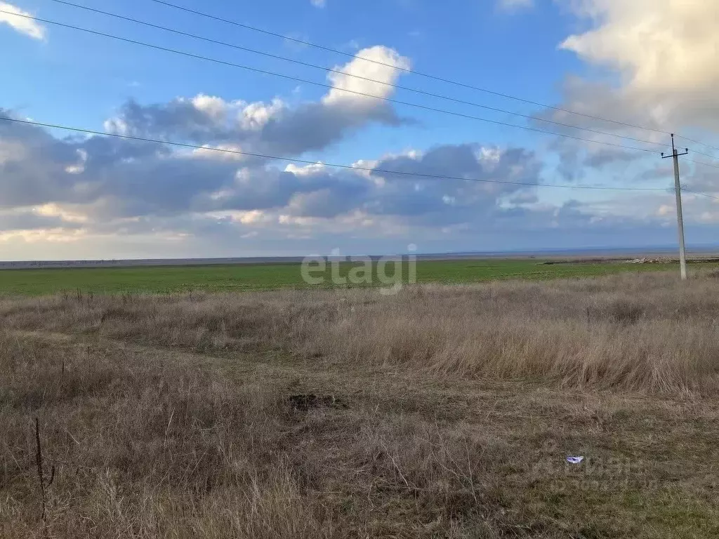 Участок в Крым, Черноморский район, с. Межводное ул. Дружбы (200.0 ... - Фото 0