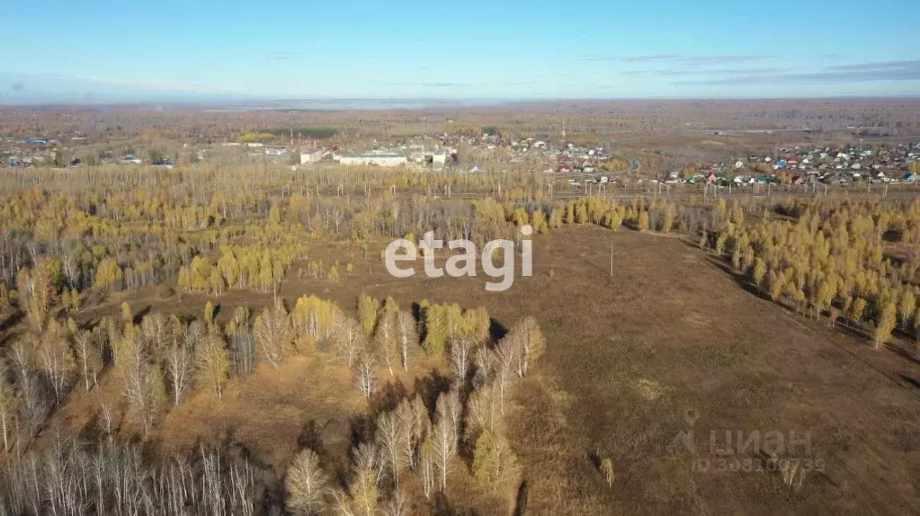 Участок в Новосибирская область, Мошковский район, с. Сокур  (9.0 ... - Фото 0