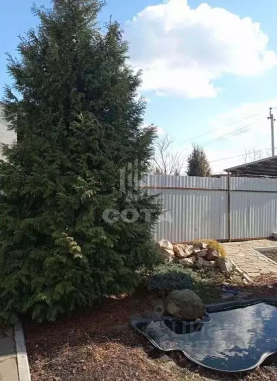 Дом в Воронежская область, Воронеж Строитель МВО СНТ,  (43 м) - Фото 1