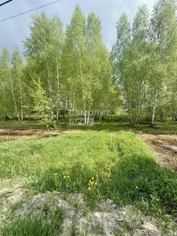 Участок в Московская область, Орехово-Зуевский городской округ, д. ... - Фото 2