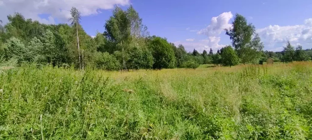 Участок в Московская область, Солнечногорск городской округ, д. ... - Фото 0