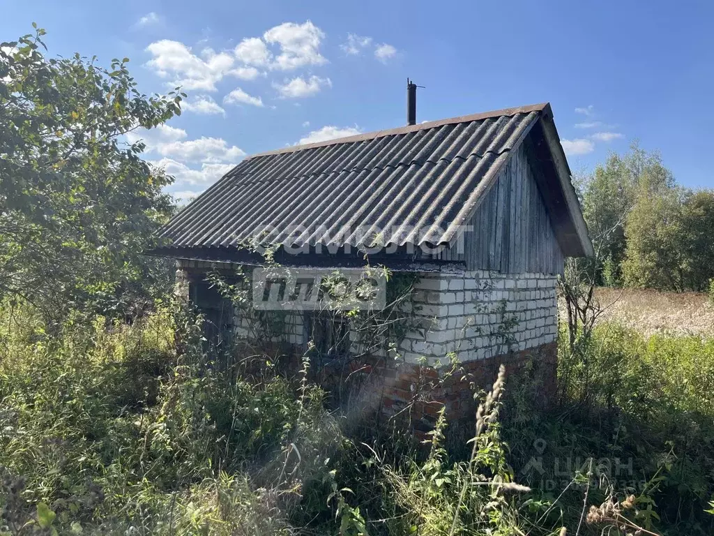 Участок в Костромская область, Красносельский район, Прискоковское ... - Фото 1