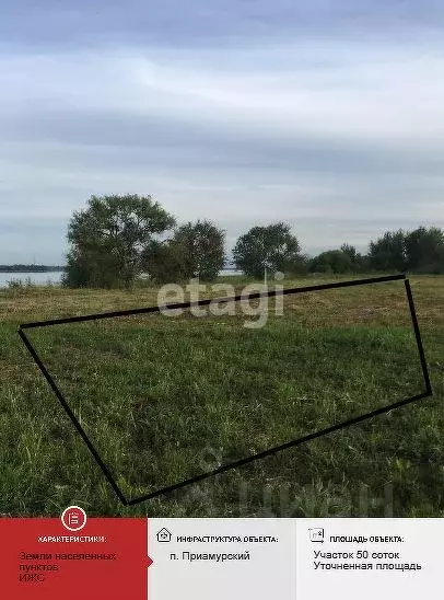 Участок в Еврейская автономная область, Смидовичский район, пос. ... - Фото 1