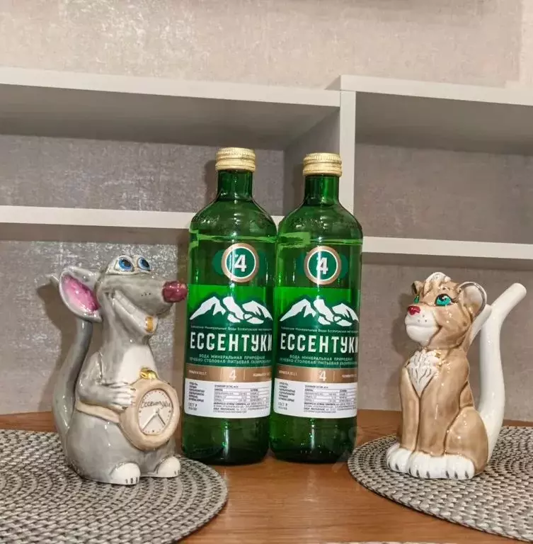 1-к кв. Ставропольский край, Ессентуки ул. Орджоникидзе, 84к5 (28.0 м) - Фото 1