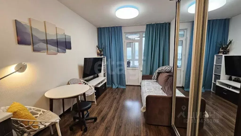 Студия Санкт-Петербург просп. Ветеранов, 171к2 (24.8 м) - Фото 0