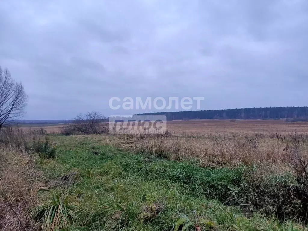 Участок в Московская область, Шатура городской округ, д. Ананкино  ... - Фото 0