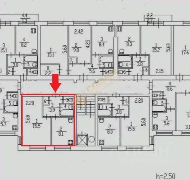 1-к кв. Санкт-Петербург просп. Науки, 30К1 (31.0 м) - Фото 1