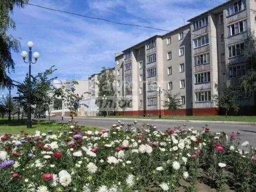 2-к кв. Липецкая область, Лебедянь ул. Тургенева, 12 (50.6 м) - Фото 0