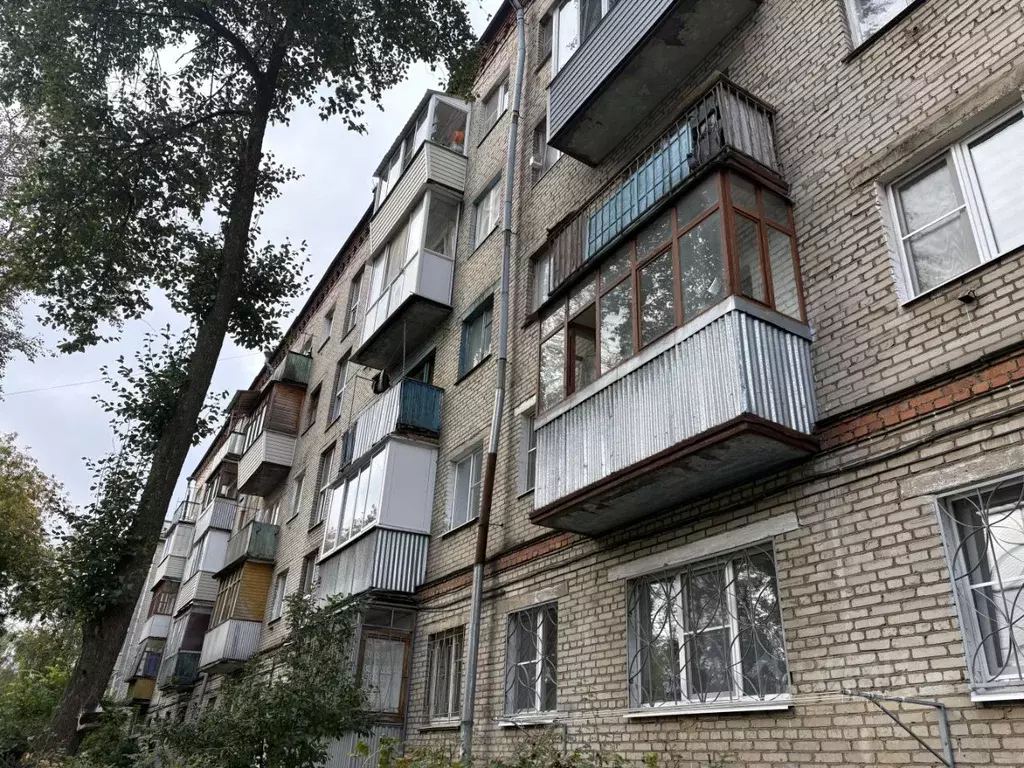 1-к кв. Московская область, Электросталь ул. Мира, 19 (31.0 м) - Фото 1