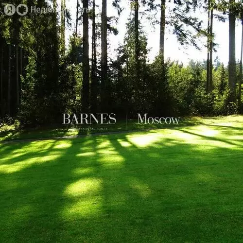 Участок в Одинцовский городской округ, деревня Таганьково (26 м) - Фото 2