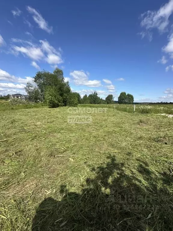 Участок в Московская область, Дмитровский муниципальный округ, д. ... - Фото 1