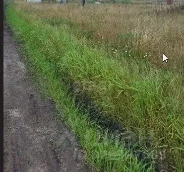 Участок в Челябинская область, Сосновский муниципальный округ, д. ... - Фото 1