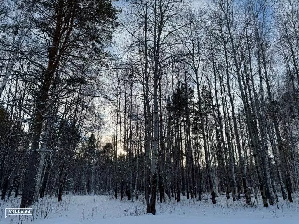 Участок в Свердловская область, Сысертский городской округ, пос. ... - Фото 0