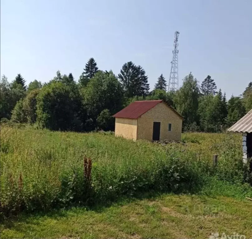 Участок в Карелия, Сортавальский муниципальный округ, пос. Рускеала  ... - Фото 1