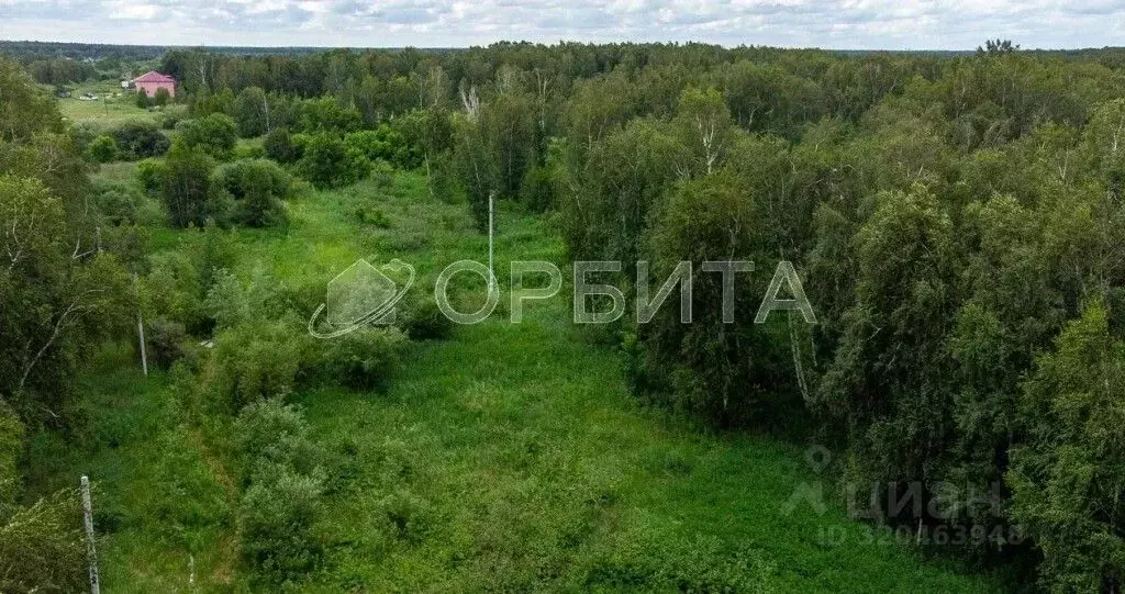 Участок в Тюменская область, Нижнетавдинский район, Строитель ТСН  ... - Фото 1