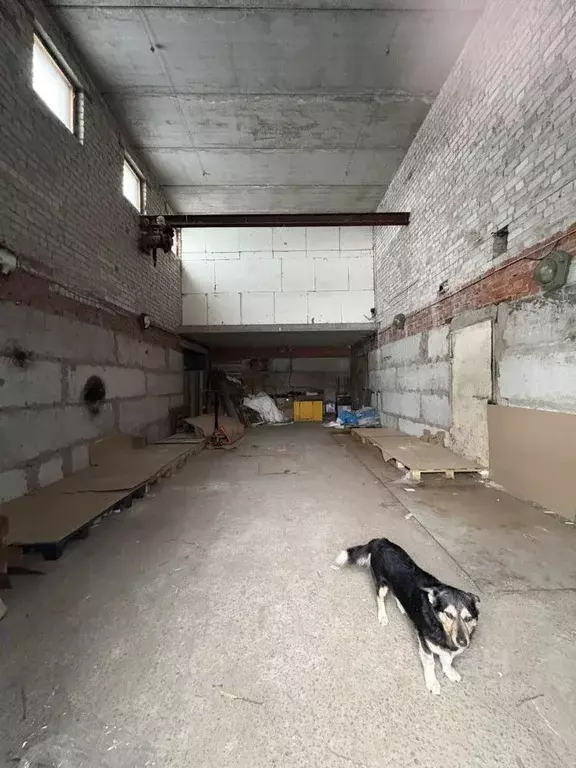 Помещение свободного назначения в Воронежская область, Воронеж ... - Фото 2