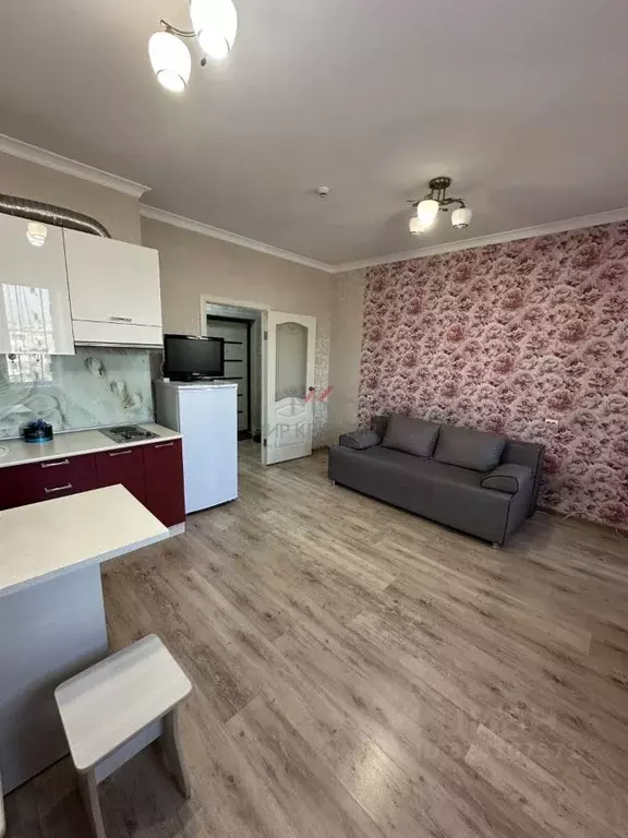 Студия Хакасия, Абакан ул. Дзержинского, 187 (27.0 м) - Фото 2