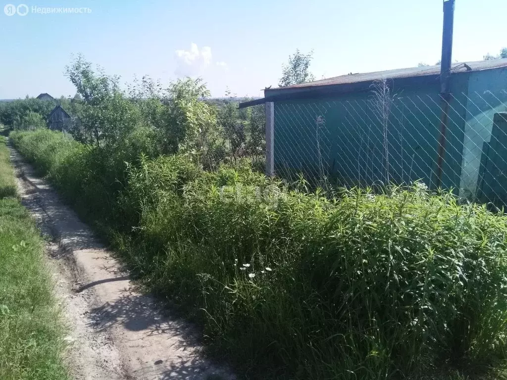 Участок в Брянск, садоводческое товарищество Надежда (6 м) - Фото 1