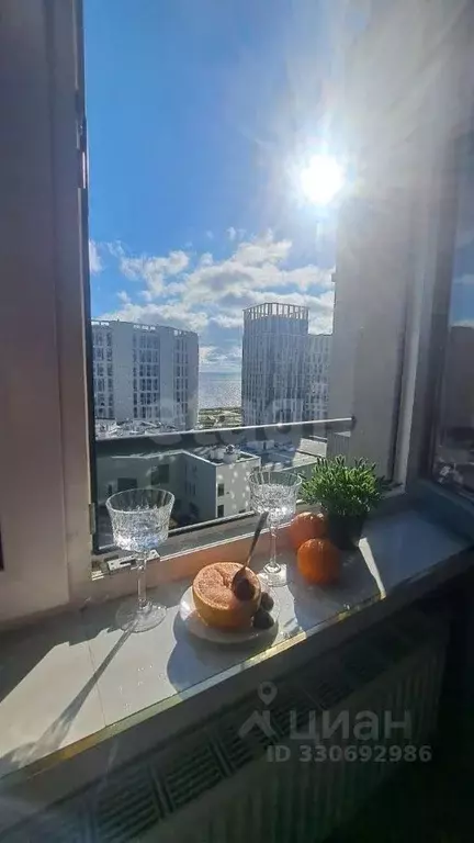 Студия Санкт-Петербург просп. Крузенштерна, 4с1 (21.4 м) - Фото 1
