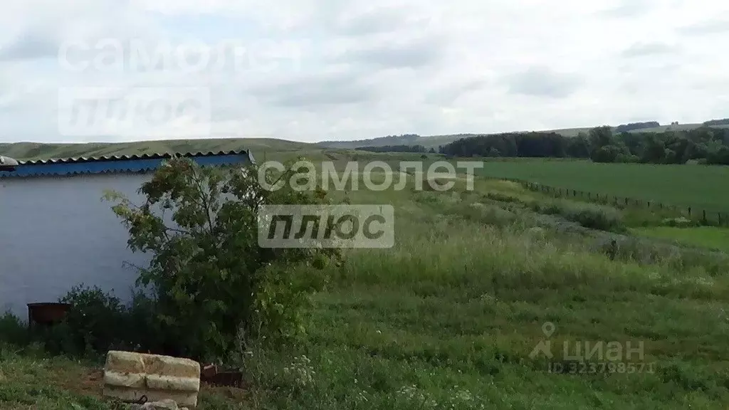 Участок в Башкортостан, Куюргазинский район, Шабагишский сельсовет, д. ... - Фото 2