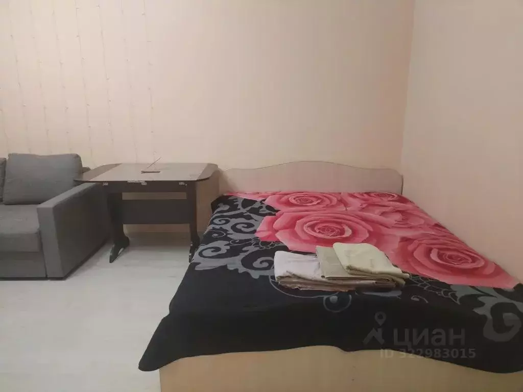 1-к кв. Нижегородская область, Городец Республиканская ул., 95 (30.0 ... - Фото 1