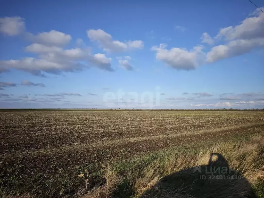 Участок в Крым, Сакский район, с. Сизовка  (499.0 сот.) - Фото 1