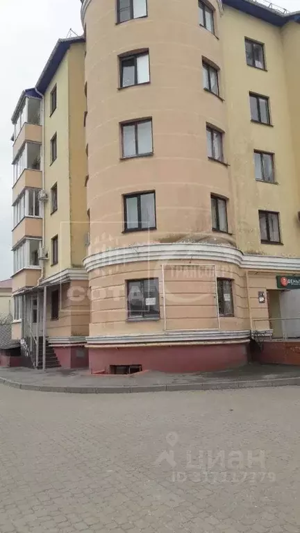 1-к кв. Воронежская область, Рамонь рп ул. Мосина, 6 (41.1 м) - Фото 0